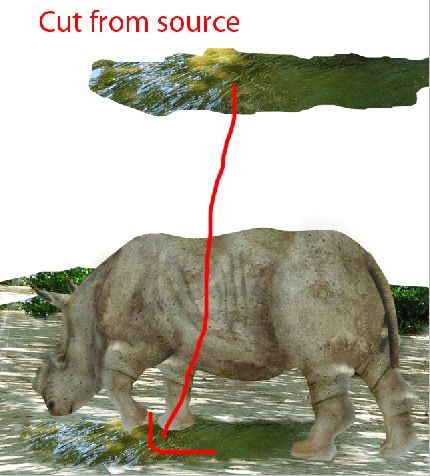 Creation of Rhino: Step 14